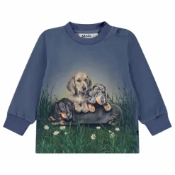 Molo T-shirt Eloy Chiens Coton Bio | Bleu Clearance