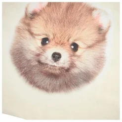 Molo T-shirt Reniza Coton Bio | Ecru Best