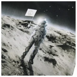 Molo T-shirt Riley Moon Coton Bio | Noir Hot