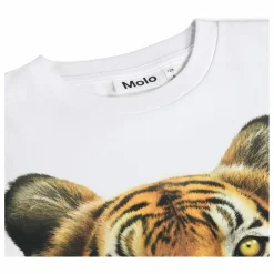 New Molo T-shirt Rollo Tigre Coton Bio | Blanc