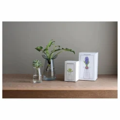 Kinto Vase en verre Aquaculture | Gris Sale