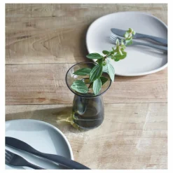 Kinto Vase en verre Aquaculture |