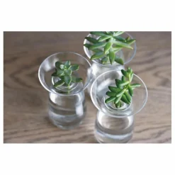 Kinto Vase en verre Aquaculture |