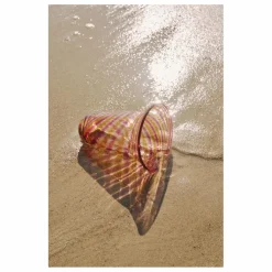 Denise Vase Stella | Orange New